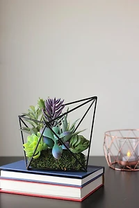 6.75" Green Artificial Succulent Arrangement in Diamond Metal Frame