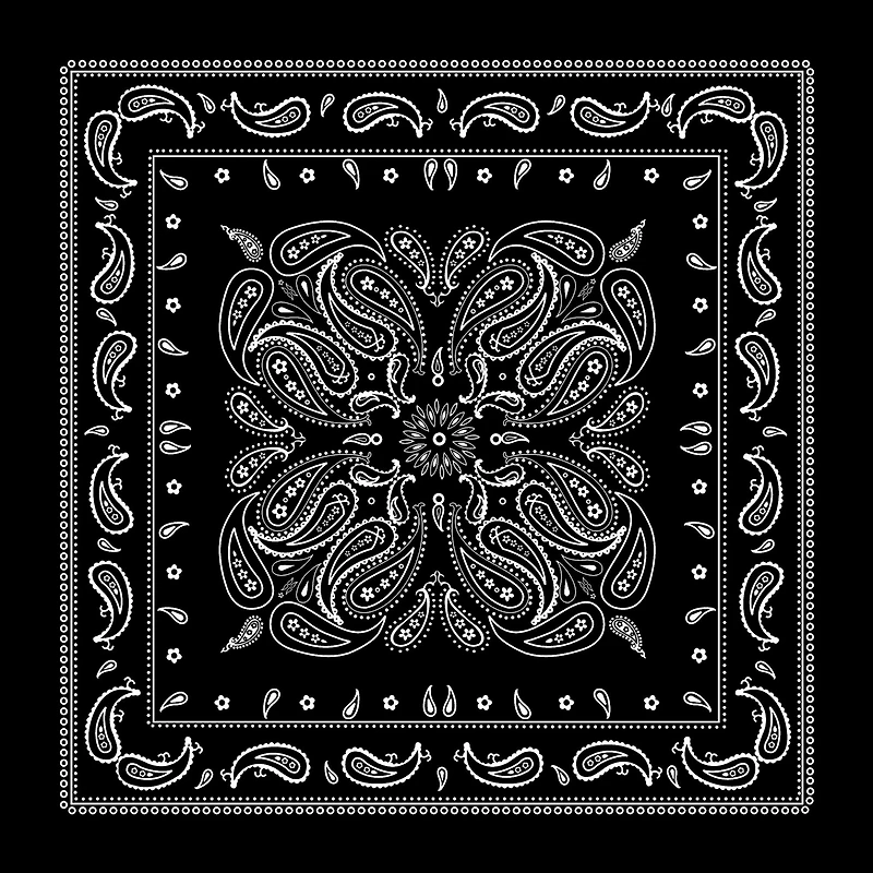 Paisley Bandana by Make Market