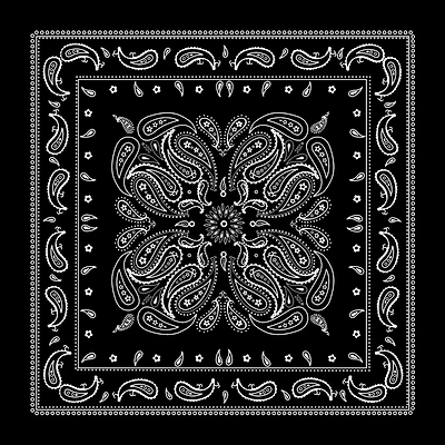 Paisley Bandana by Make Market