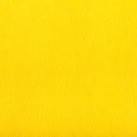 Cricut® Felt Carousel Sampler