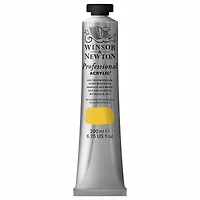 Winsor & Newton® Professional Acrylic™ Paint