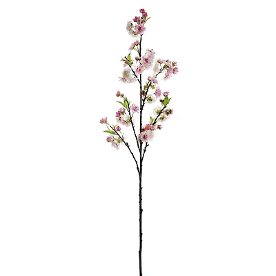 Pink Cherry Blossom Stem