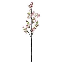 Pink Cherry Blossom Stem