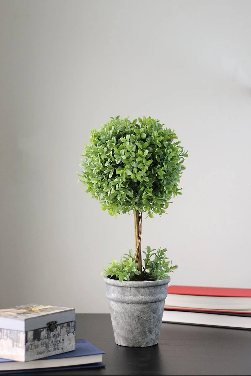 17" Green Artificial Boxwood Topiary in Distressed Paper Mache Pot