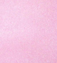Springs Creative Euro Pink Fleece Fabric