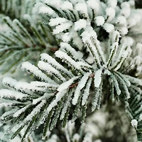 20" Flocked Pine Tree in Faux Paper Pot