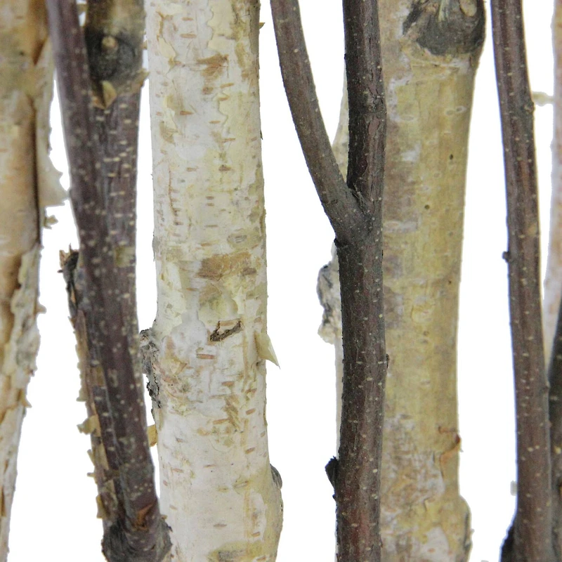 18.75" Mixed Branches in White Wood Frame