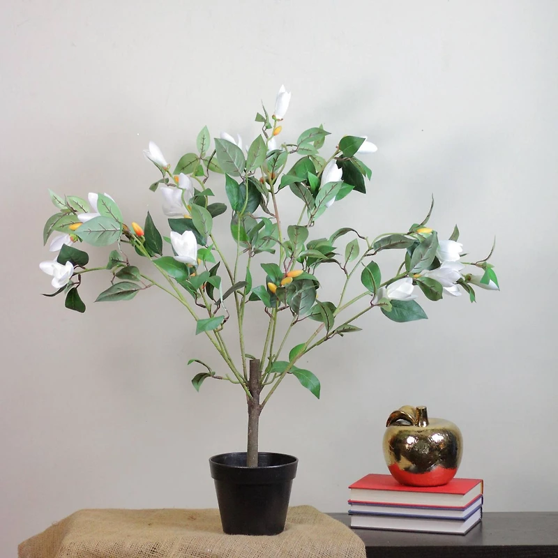 32.5" Lily White Magnolia Potted Topiary
