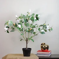 32.5" Lily White Magnolia Potted Topiary