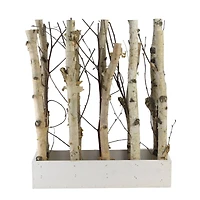 18.75" Mixed Branch Bouquet in White Wood Box
