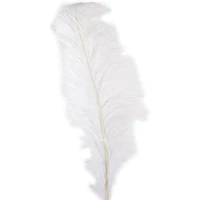 Ashland® Feather, Ostrich, Ivory