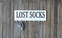 Hello Honey® Lost Socks" Wall Décor with Clothespins