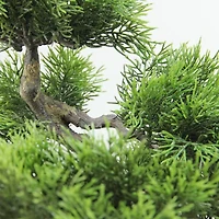 18" Artificial Japanese Bonsai Tree in Distressed Box