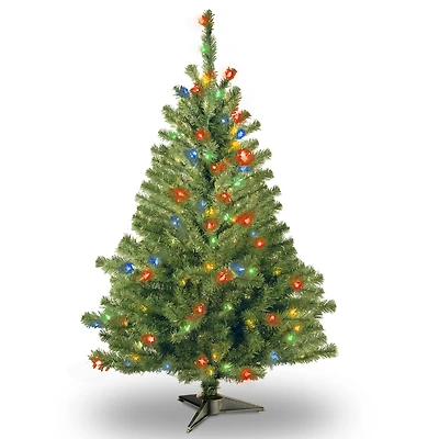 4 ft. Pre-Lit Kincaid Spruce Artificial Christmas Tree, Multicolor Lights