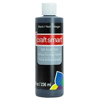 8oz. Satin Acrylic Paint by Craft Smart