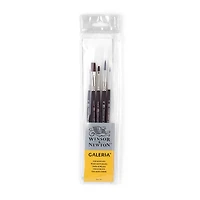 Winsor & Newton® Galeria® Short Handle Brush 5 Pack