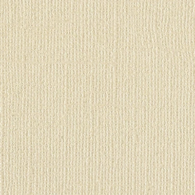 Martha Stewart Shimmer Cardstock, 8.5" x 11"
