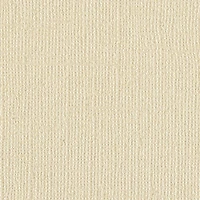 Martha Stewart Shimmer Cardstock, 8.5" x 11"