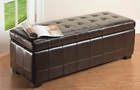 Manhattan Large Storage Ottoman in Brown