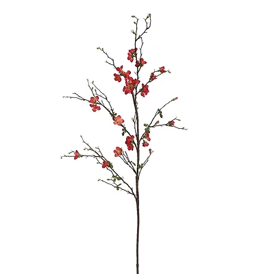  Coral Quince Blossom Stem