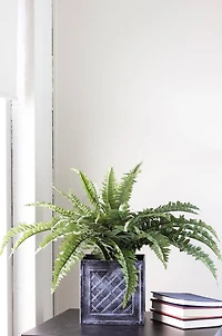 20" Green Artificial Boston Fern in Black Tin Pot