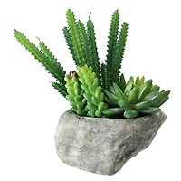 6.5" Green Artificial Succulents in Rock Container