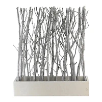 18.5" Standing Birch Bouquet in Rustic White Box