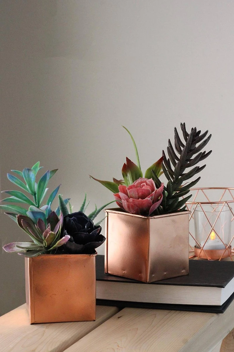 7" Artificial Mixed Succulent Arrangement in Square Pot