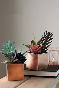 7" Artificial Mixed Succulent Arrangement in Square Pot