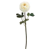 24" Ranunculus Stem, White