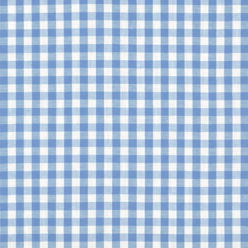 1/4" Blue Gingham