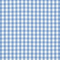 1/4" Blue Gingham