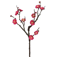 Plum Blossom Stem