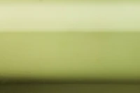 Cricut® Foil Iron On Spring Meadow Sampler