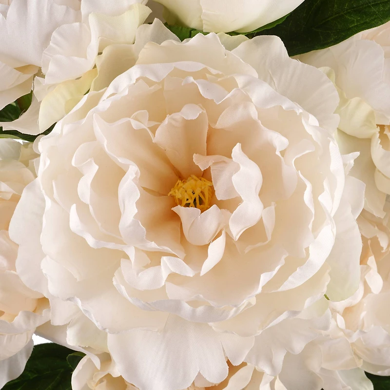 Cream Peony Bush by Ashland®