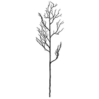 Black Bare Branch Stem by Ashland®