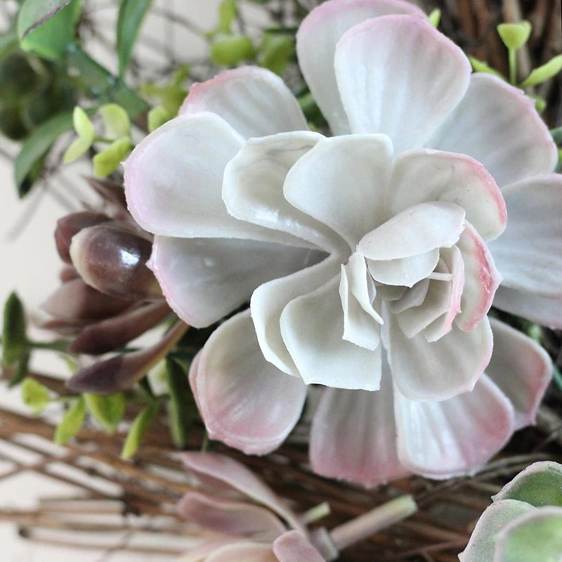 22" Green Succulent Mix & Spiral Vine Wreath