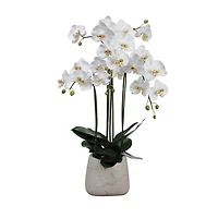 35" Orchid Plant in Faux Marble Pot