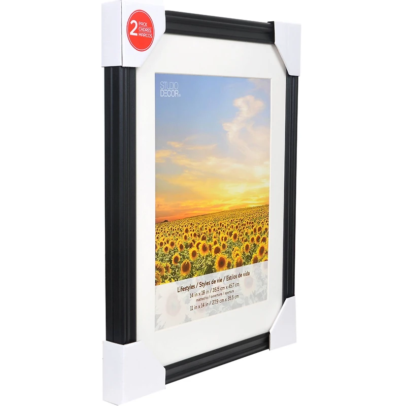 2 Pack Lifestyles 11" x 14" Black Frames with Mat by Studio Décor®