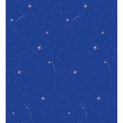 Pacon® Fadeless® Night Sky Blue Design Roll, 4 Pack