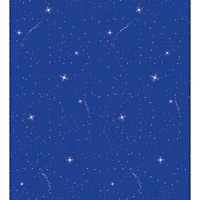 Pacon® Fadeless® Night Sky Blue Design Roll, 4 Pack