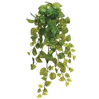 28" Pothos Hanging Bush, Green