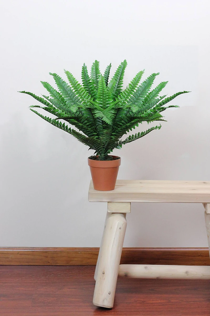 18.5" Potted Artificial Green Boston Fern Plant