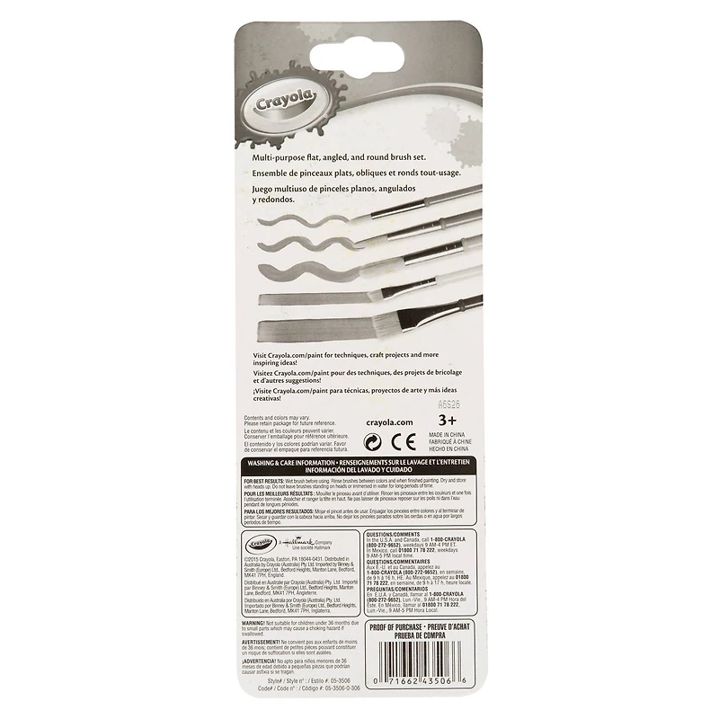 Crayola® Art & Craft Brushes, 5 Count