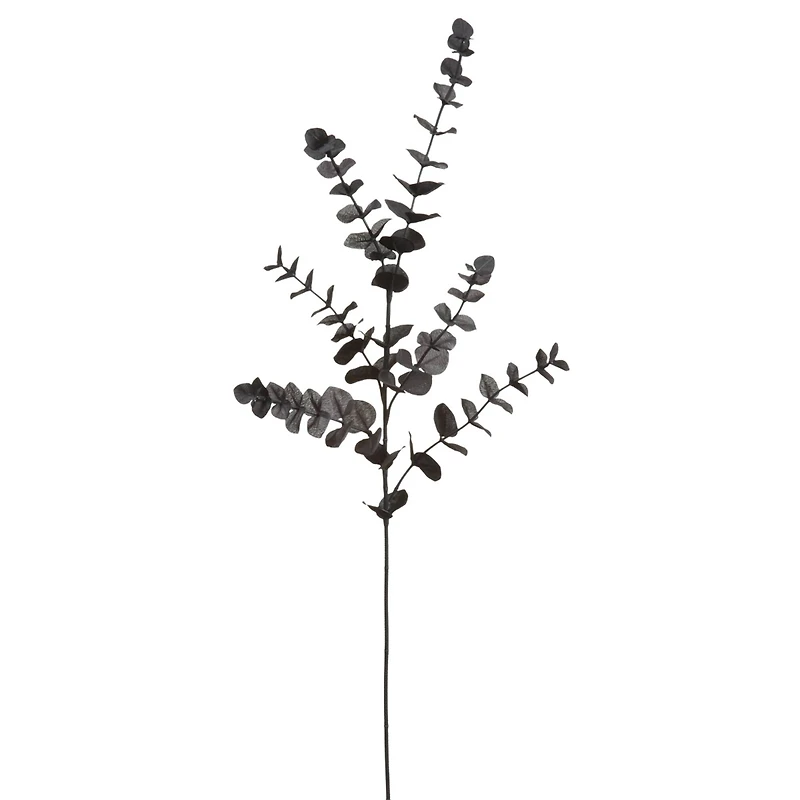 12 Pack: Black Eucalyptus Spray by Ashland®