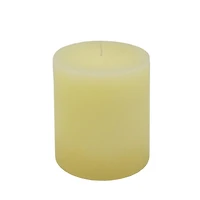 2.75" x 3" Pillar Candle By Ashland