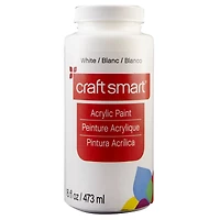 16oz. Matte Acrylic Paint by Craft Smart