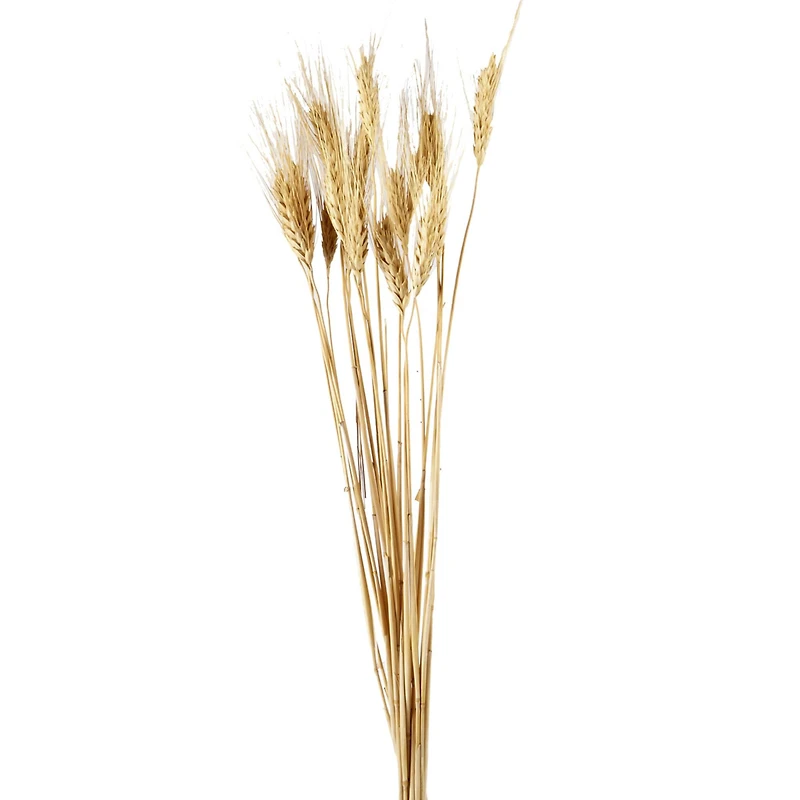 Ashland® Natural Wheat Bunch