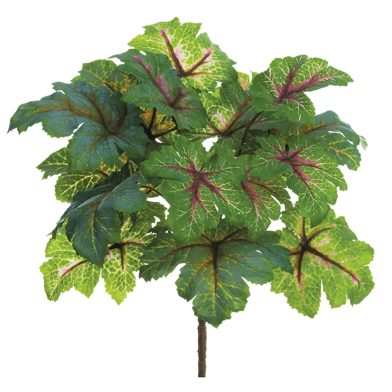 11" Heuchera Bush, Green & Mauve