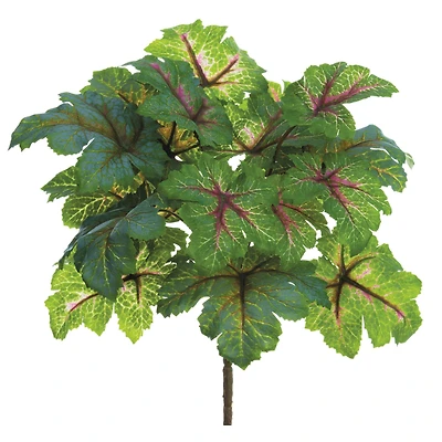 11" Heuchera Bush, Green & Mauve